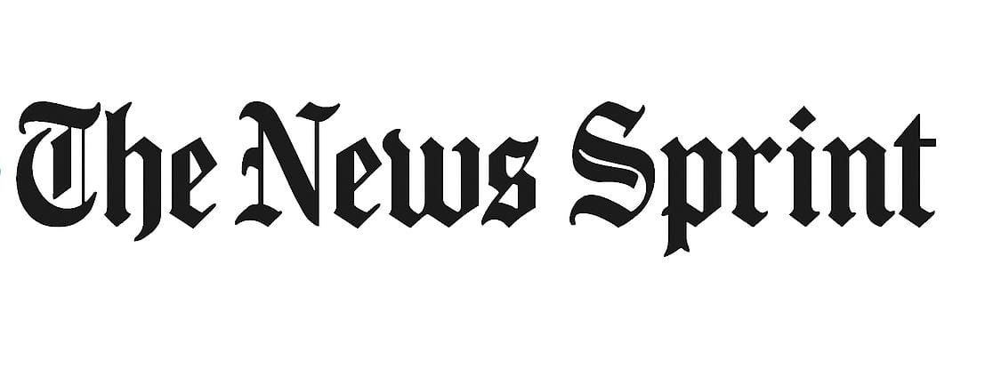thenewssprint.com